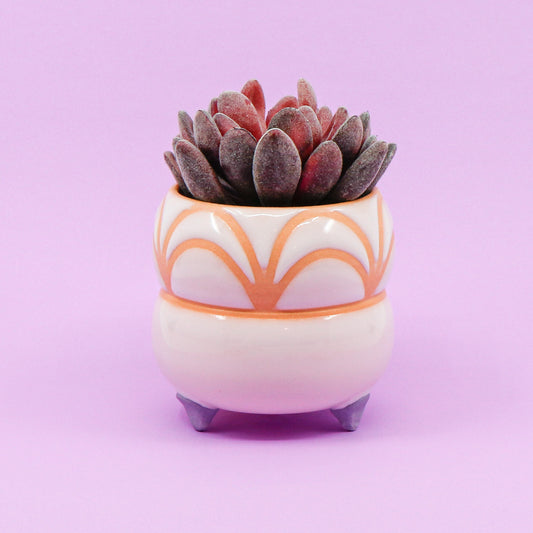 Orange Creamsicle Footed Planter