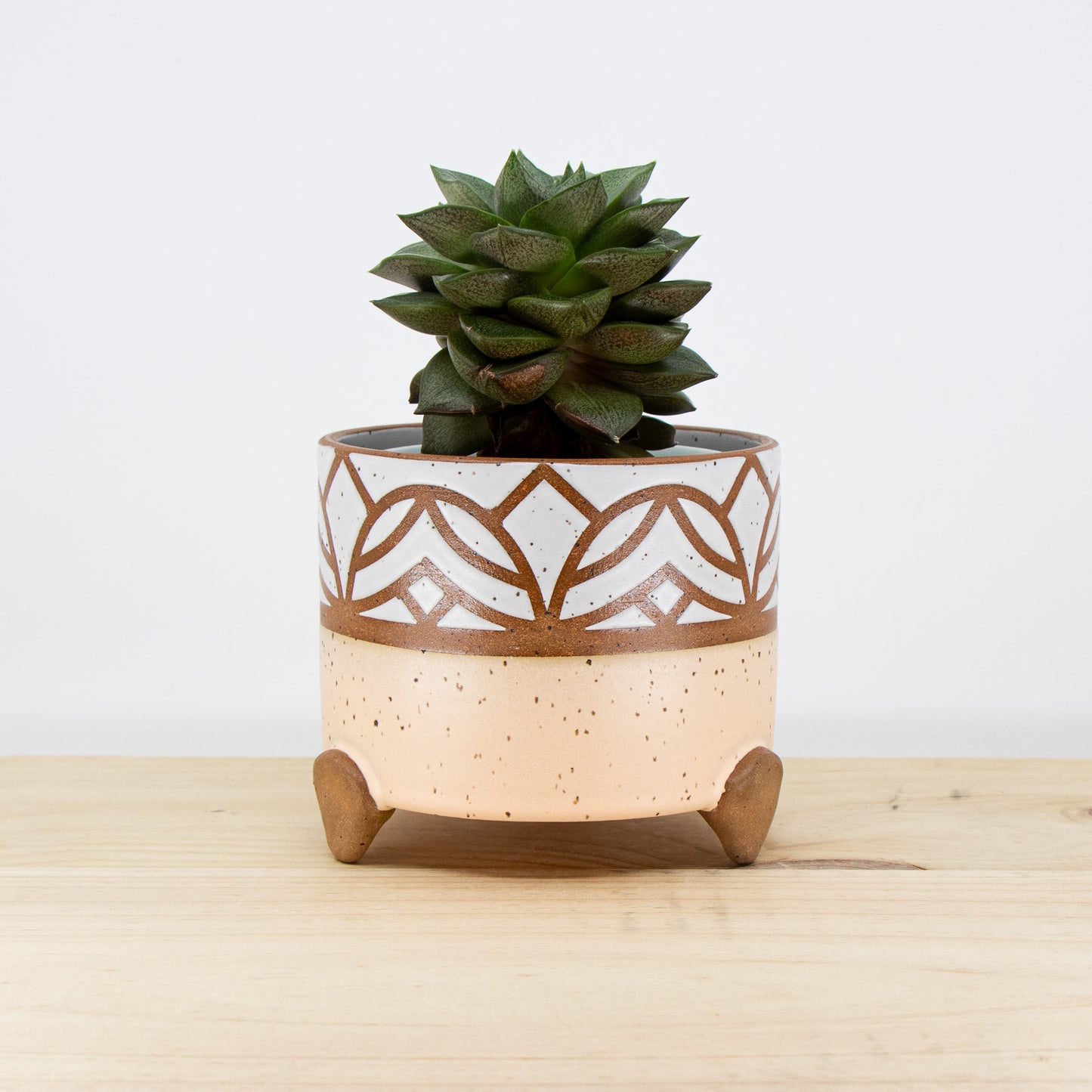 4" Peach Footed Planter