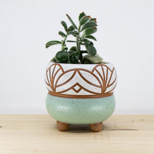 Wintergreen Footed Bubble Planter #2