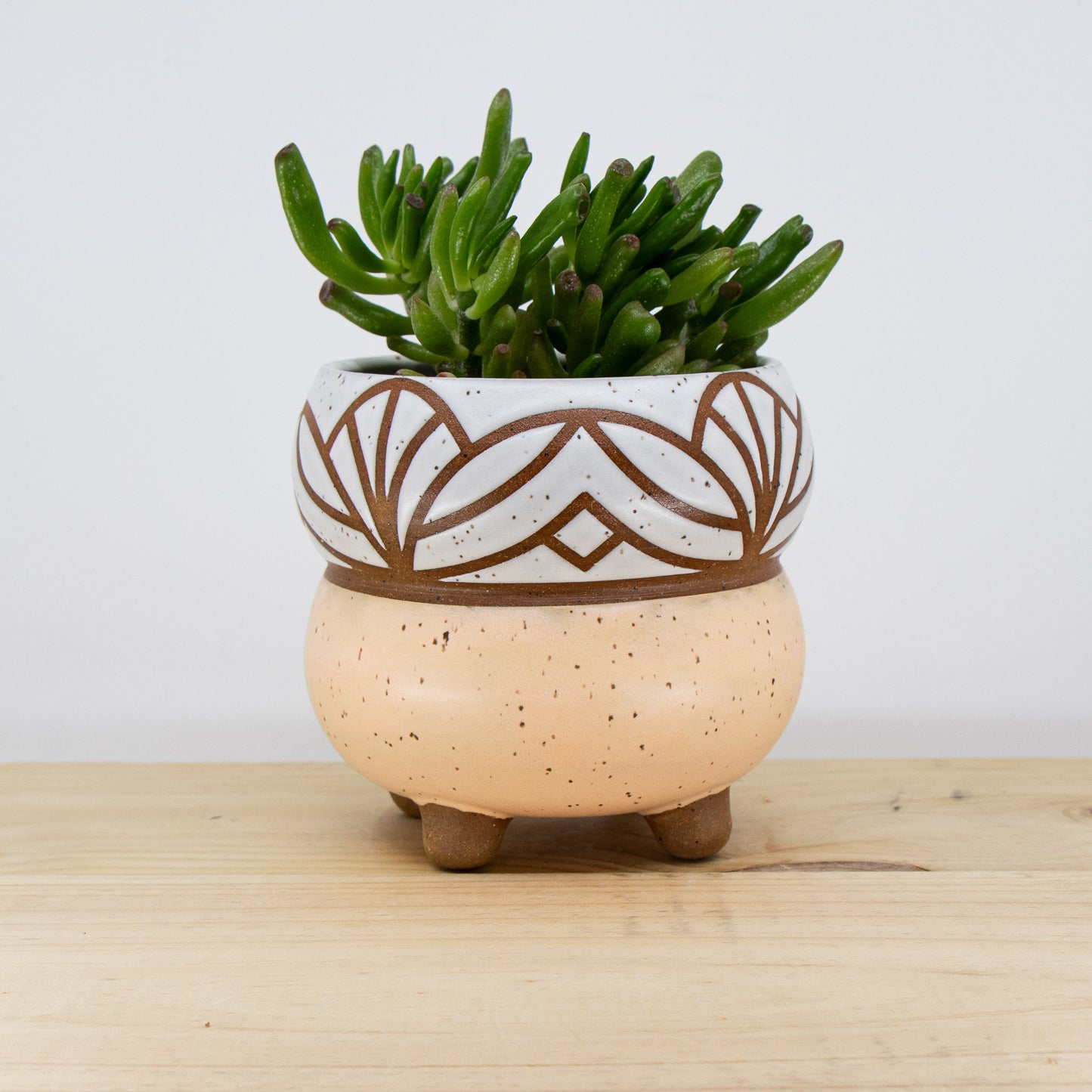 Peach Footed Bubble Planter