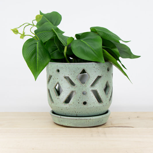 Wintergreen Orchid Pot