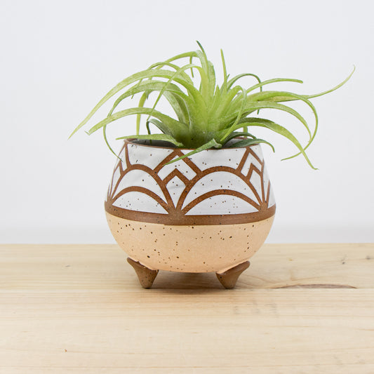 3" Peach Footed Planter