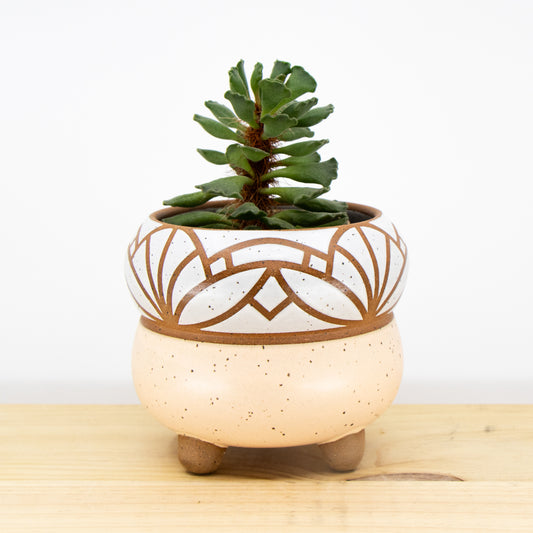 4" Peach Footed Bubble Planter