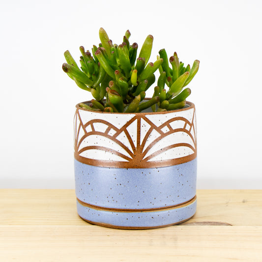 4" Periwinkle Planter with Tray