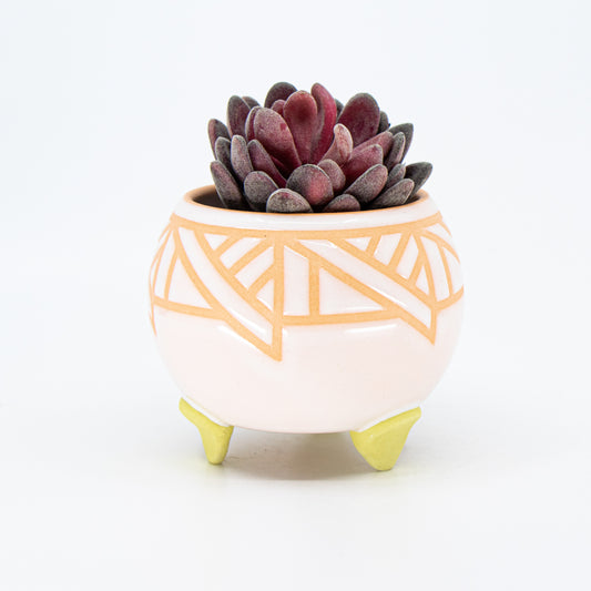 Orange Sherbet Footed Planter